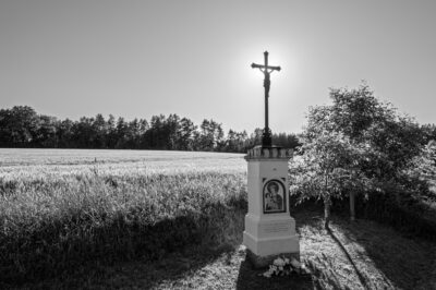 Les mezi Rynolticemi a Polesím
