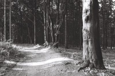 Vysočina kolem Hlinska – podzim 2025 (analog)